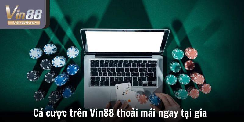 VIN88 Có Lừa Đảo Không - Cân Nhắc Trước Khi Đặt Cược 3 Cá cược trên Vin88 thoải mái ngay tại gia