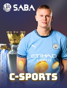 VIN88 🎖️ | Nhà Cái Số 1 Về Cá Cược Thể Thao & Casino 2025 5 csports portrait 230x300 1