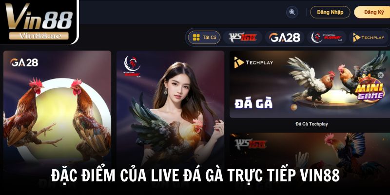 Đặc điểm của live đá gà trực tiếp VIN88 có gì?