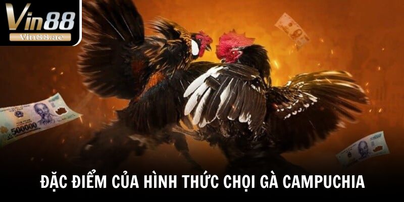 Đặc điểm của hình thức chọi gà Campuchia