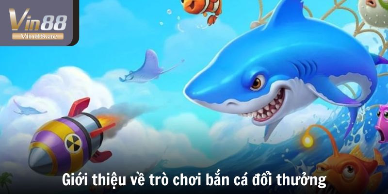 Chơi bắn cá đổi thưởng - Trải nghiệm kiếm tiền đầy hấp dẫn 2 Tìm hiểu về việc tham gia chơi bắn cá đổi thưởng